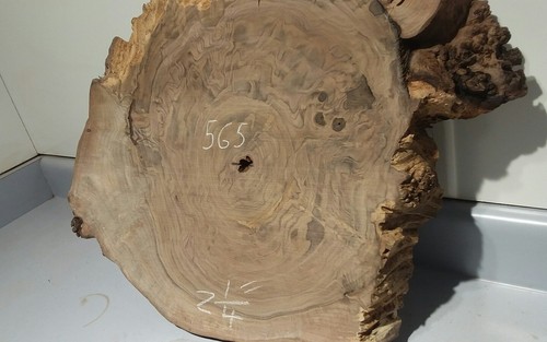 Pacific Black Walnut, live edge, stump root slab burl, wall art, shelf