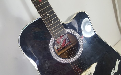 Estaban Rock On Accoustic Electric Guitar