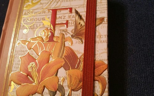 PUNCH STUDIO gold embossed (raised) MONOGRAMMED F hard cover bungee-journal-80pg