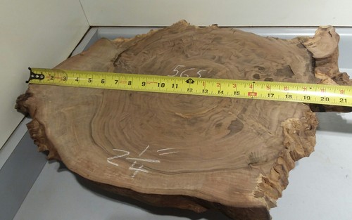 Pacific Black Walnut, live edge, stump root slab burl, wall art, shelf