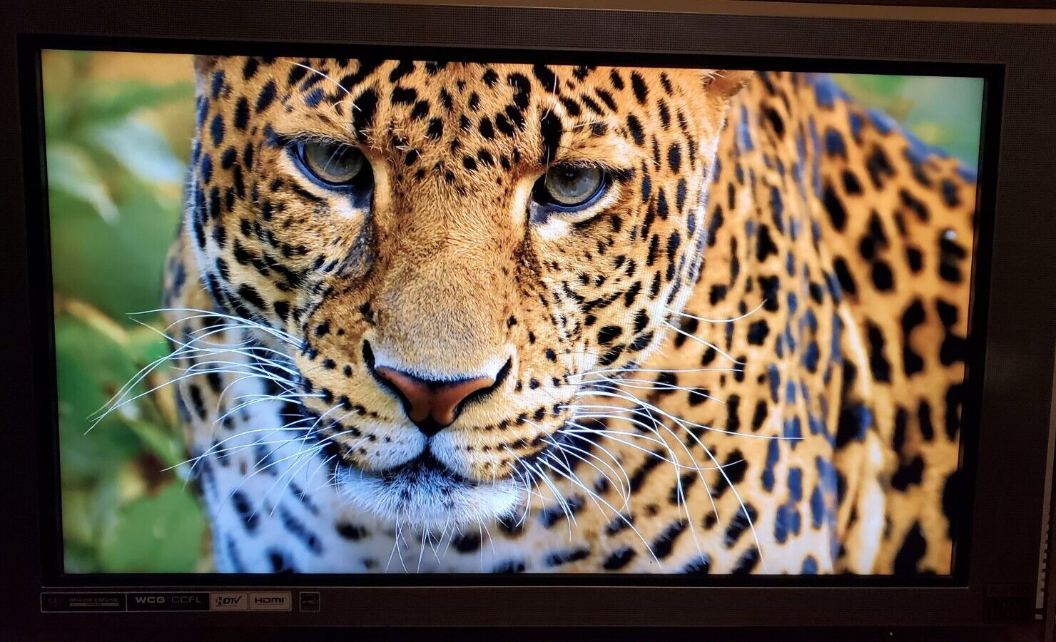 アリバーバ　圧倒的映像美！SONY BRAVIA 40型で新次元の体験を 今だけ特価】圧倒的映像美！SONY BRAVIA 40型で新次元の体験を
