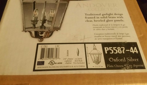 Progress Lighting Andover Collection Outdoor Hanging Light Silver New P5587-44