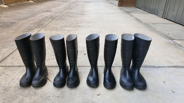 bunnings blundstone