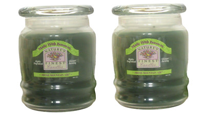 Scented Jar Candles Bulk 2-Pack Pine Balsam Fir Large Beeswax Fresh Mountain Air