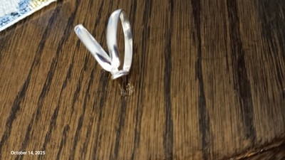 Artikelfoto(s) von einem verifizierten Käufer