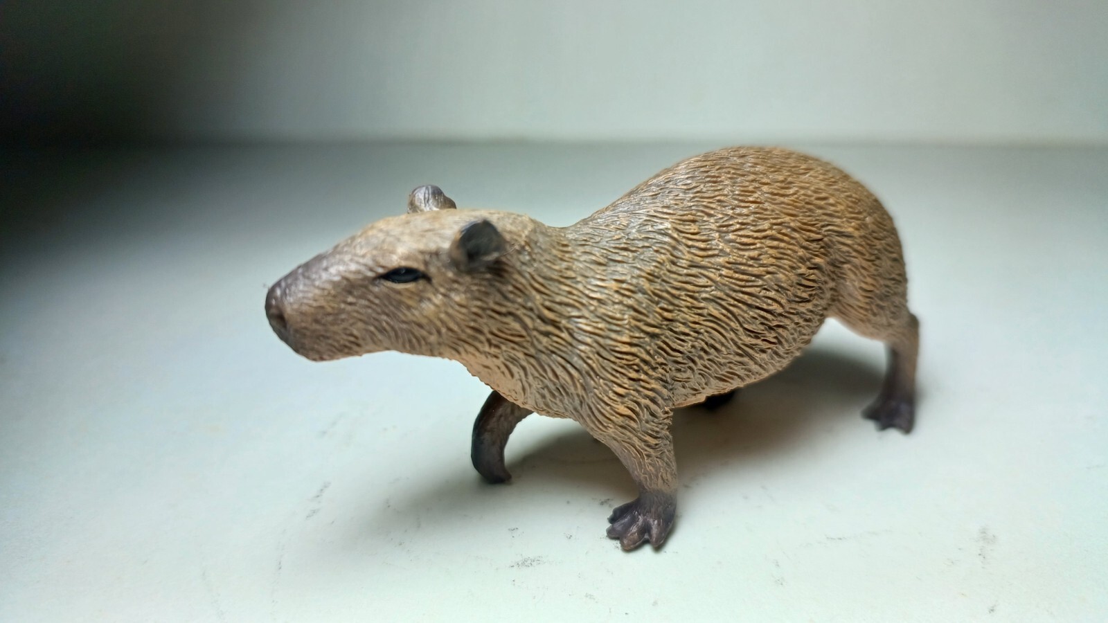 Figurine Collecta - Capybara (Animaux De La Forêt) - Modèle Détaillé Pour Collection Ou Jeu, Dimensions 13 X 9 X 3 Cm - 4
