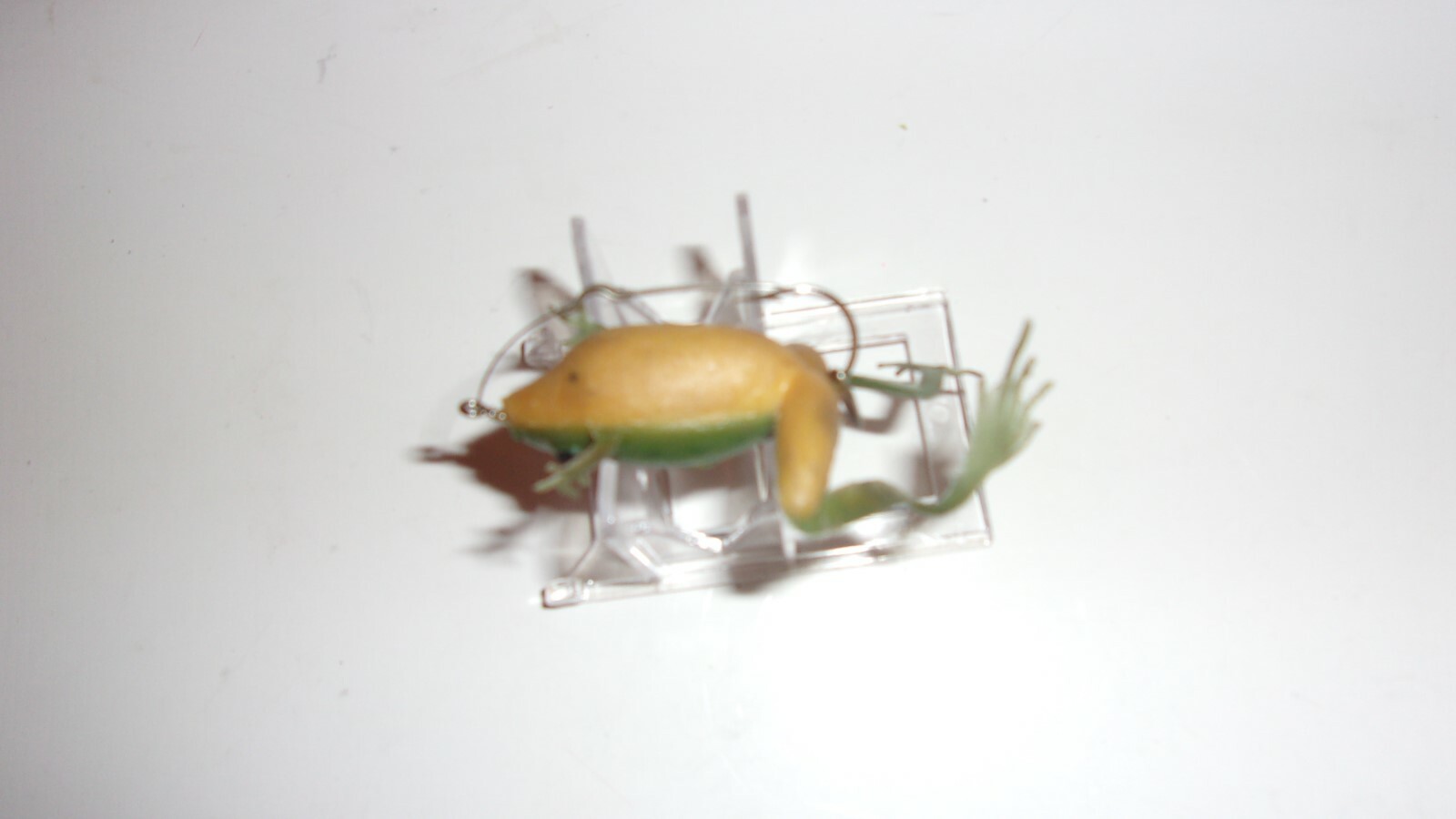 Vintage Burke Weedless Rubber Frog Lure Fishing - Used