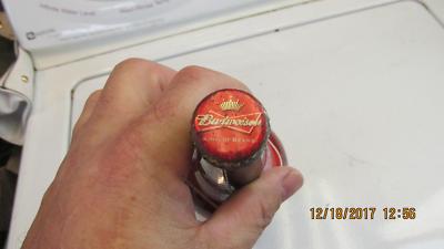 22 Oz Budweiser Dale Junior Bottle With scree On Lid