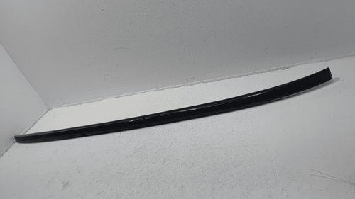 2022-2025 Toyota RAV4 Roof Rack Rail Luggage Carrier Molding Left Side OEM
