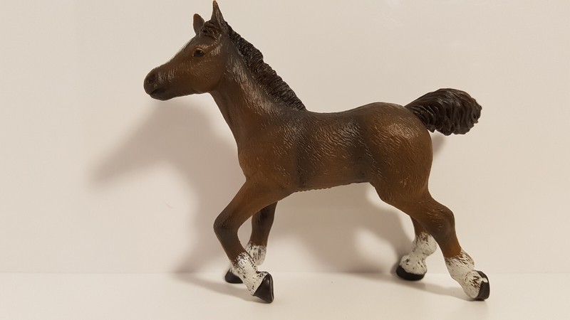 51530 Papo : Black Anglo-Arab Foal Ref : 1pa539