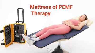 PMST Loop PEMF Magnetic Physio Magneto Therapy Machine for Pain Relief