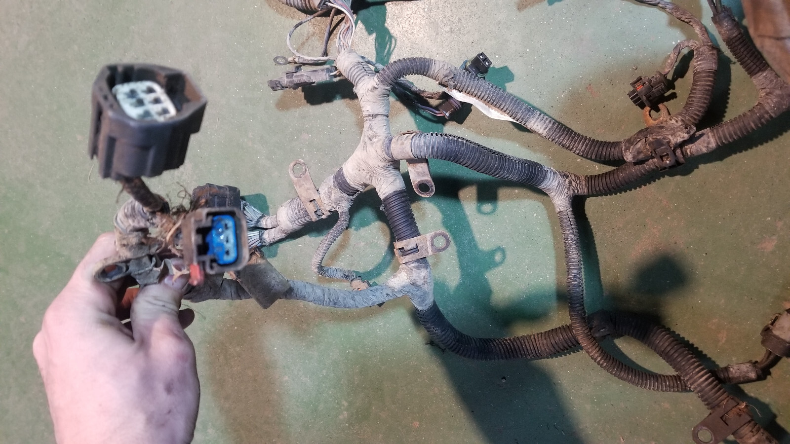 3972349  Engine Harness Dodge Ram Cummins Diesel 5.9L - Picture 5 of 12