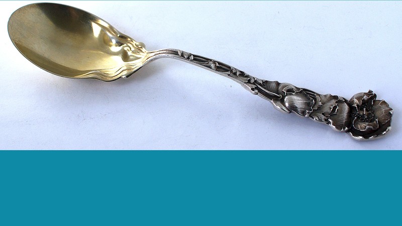 RARE! 10 1/4" Sterling silver Casserole Spoon Poppy by Shiebler