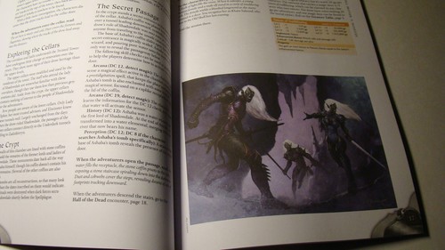 Picture 4