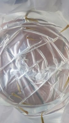 Foto dell'oggetto di un acquirente verificato