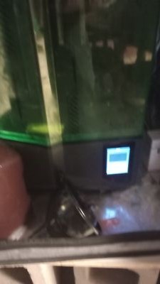 Photos de l'objet d'un acheteur vérifié