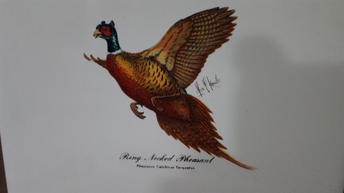 Rosemeade Pottery Les Kouba 6