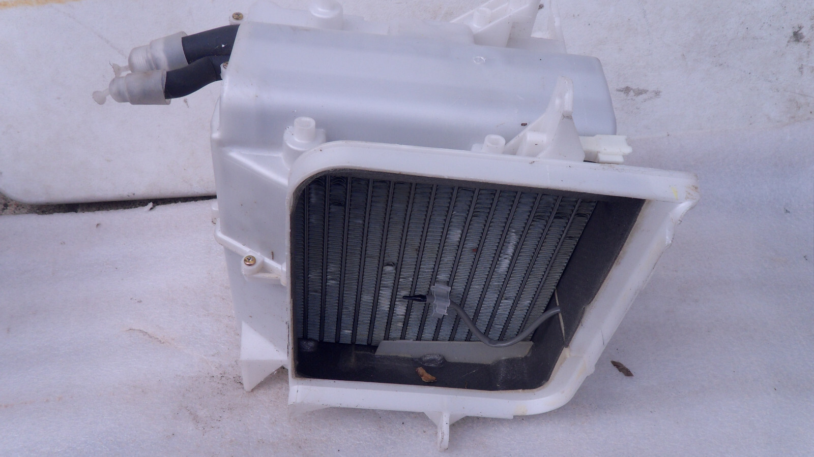 $_57.JPG?set_id=8800005007