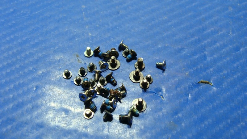 Lenovo ThinkPad X250 12.5" Genuine Laptop Screw Set Screws for Repair ScrewSet