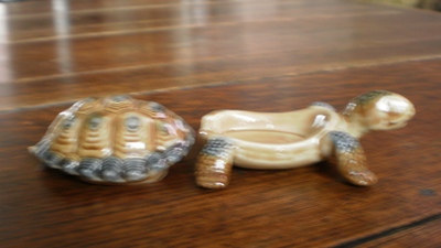 Wade Father Turtle Tortoise Trinket Box