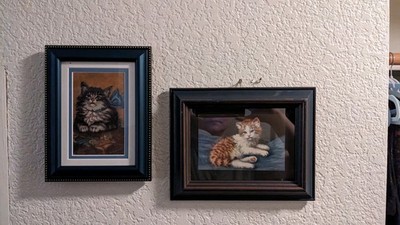 Artikelfoto(s) von einem verifizierten Käufer