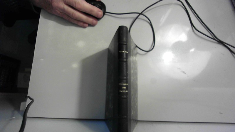 Psychologie Des Foules Par Gustave Le Bon Ed Alcan / Demie Rel...