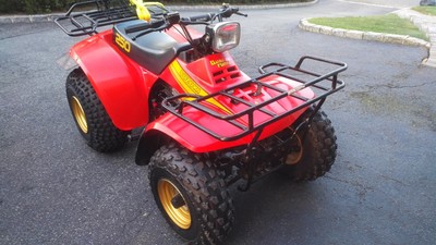 1985 suzuki quadrunner lt250e