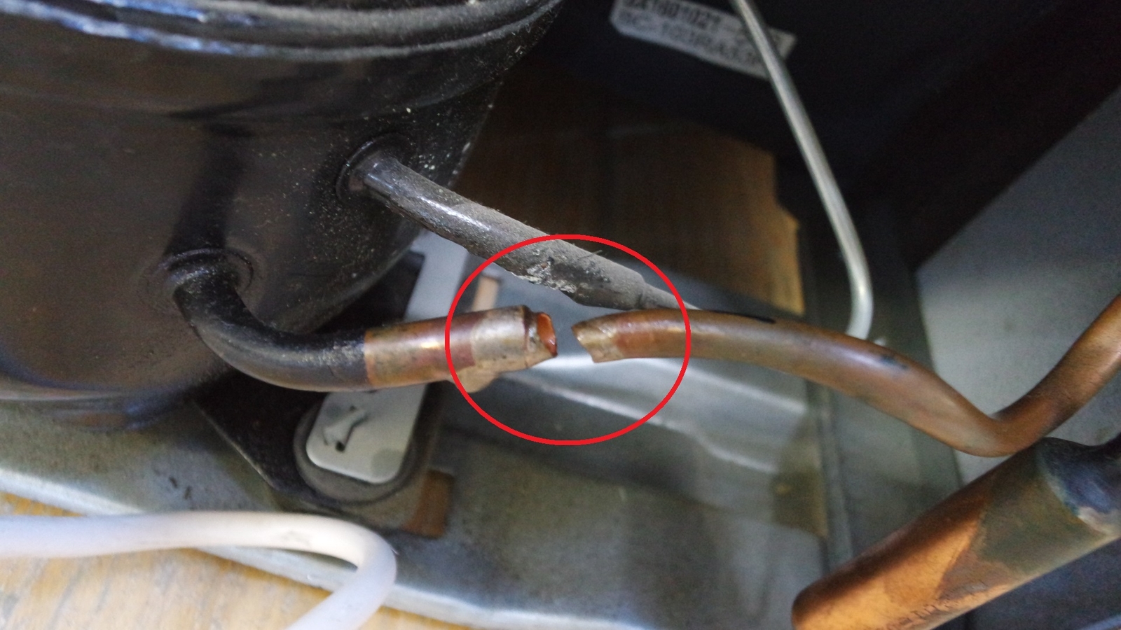 Bomann Kühlschrank Thermostat Defekt : Bomann vs 3262 kühlschrank a 84 cm höhe 109 kwh jahr defekt Bomann Kühlschrank Thermostat Defekt : Bomann vs 3262 kühlschrank a 84 cm höhe 109 kwh jahr defekt