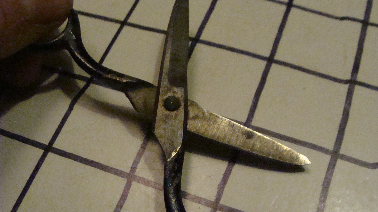 Vintage Original - small unmarked SCISSORS -- works great --