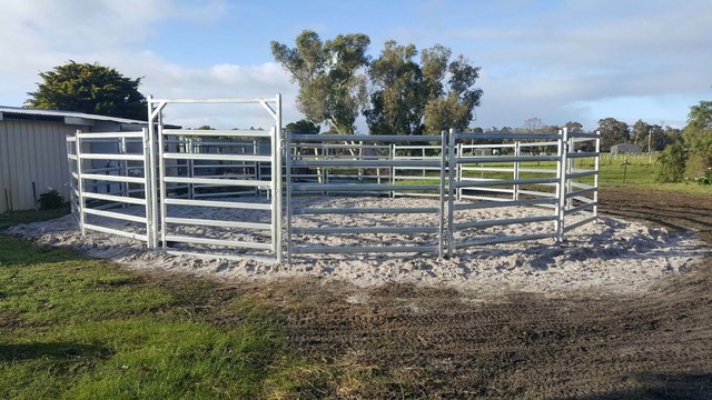 Horse Round Yards Horses Ponies Gumtree Australia Perth City Area 