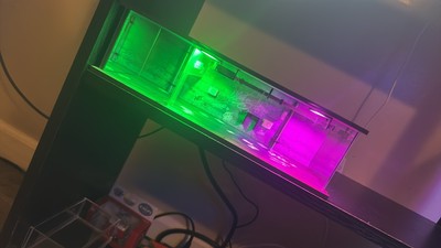 Fotos del artículo de un comprador verificado