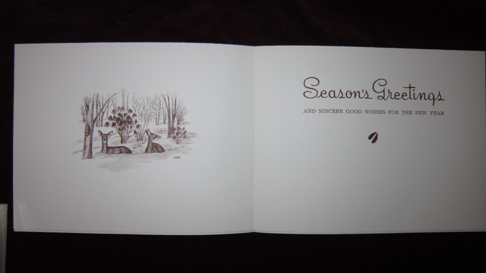 Christmas Boxed Note Cards w/Dogs & Wildlife w/10 Notes Cards & 10 Envelopes/Box