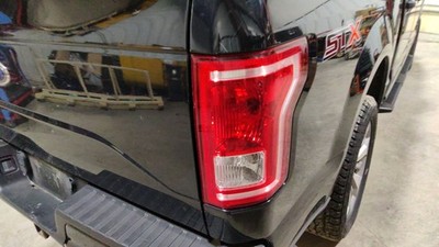 2015-2017 Ford F-150 RH Passenger Incandescent Bulb Taillight Lamp *Chipped*