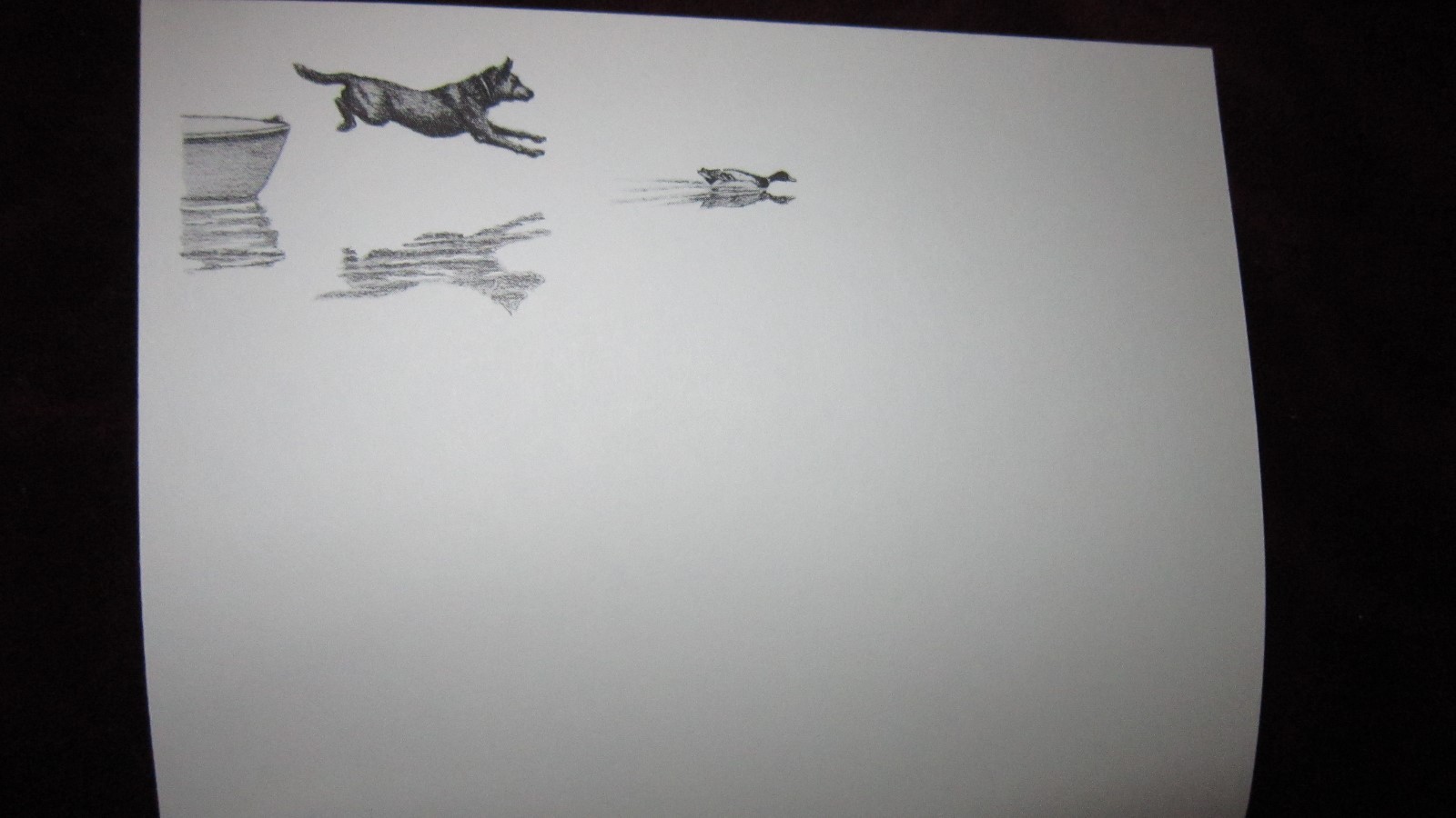 Christmas Boxed Note Cards w/Dogs & Wildlife w/10 Notes Cards & 10 Envelopes/Box