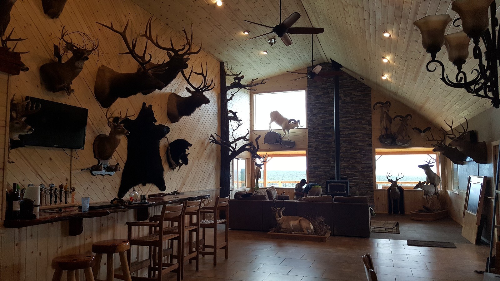 Trophy bull elk / Mule deer hunt in new Mexico