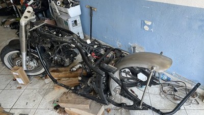 Foto dell'oggetto di un acquirente verificato