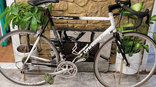 Univega Modo  Columbus Thron Steel 56cm - 2000s Campagnolo Groupset Road Bike