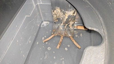 Artikelfoto(s) von einem verifizierten Käufer