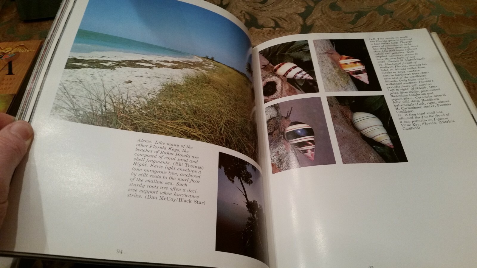 The Wild Shores of North America  Sutton, Ann & Myron  Alfred A Knopf  1977