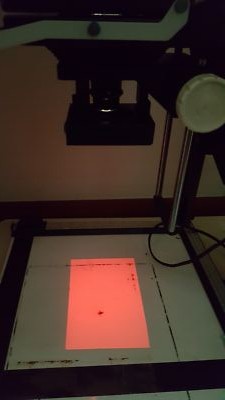 Fotos del artículo de un comprador verificado