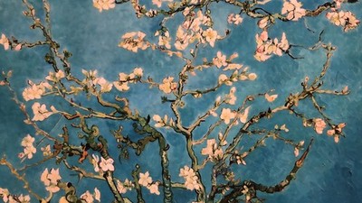 Photos de l'objet d'un acheteur vérifié
