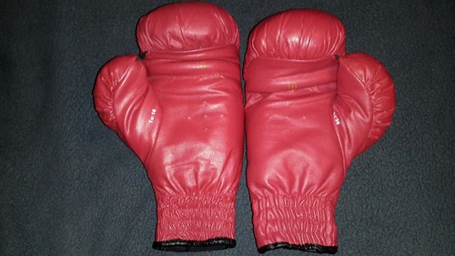 Everlast Traditional Slip On 16 oz. Red Genuine Leather Boxing Gloves