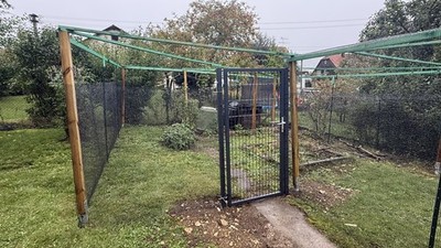 Artikelfoto(s) von einem verifizierten Käufer