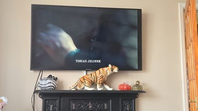 Fotos del artículo de un comprador verificado