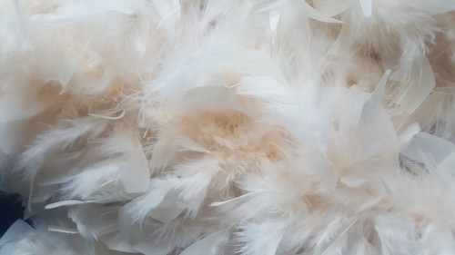 Katherine's At Silver Lake 80