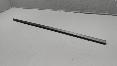2021-2025 Nissan Rogue Rear Left Driver Side Door Window Belt Outer Molding OEM