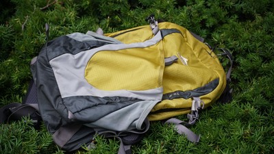 Gregory Mountaineering Backpack Z 22 