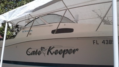 1997 Wellcraft Exell Optimas Condition with self parking trailer.