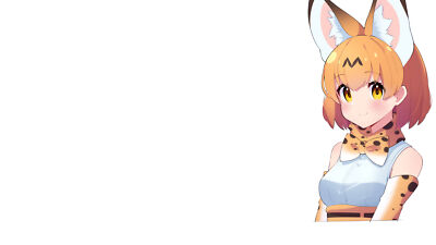 Anime kemono friends white background girls serval Playmat Game Mat Desk