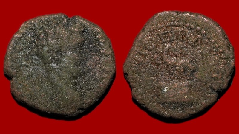 Provincial Coin : Septime SéVèRe – Assarion, Aigle, Pautalia, Tb-, R1 [20asrss2]